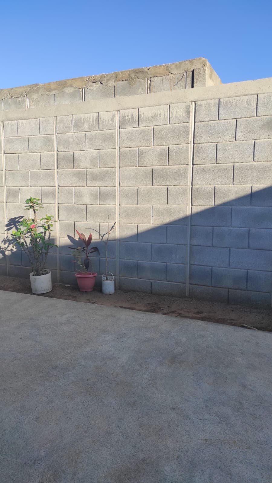 Proyecto Muro Blok-On 15
